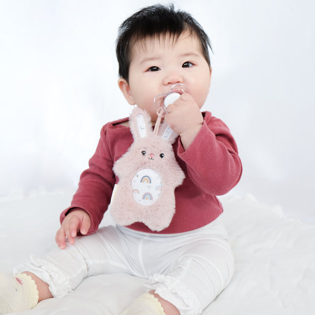NEW! PaciPal Pacifier Stuffed Animals