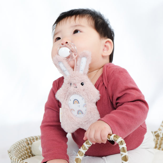 NEW! PaciPal Pacifier Stuffed Animals